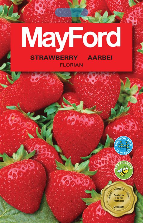 Mayford Mega Pack Seeds • Lifestyle Home Garden Online Store