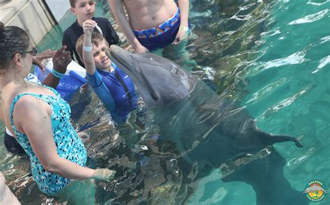 Making Friends With Cacique This Morning At Dolphin Encounters Blue Lagoon Island In The