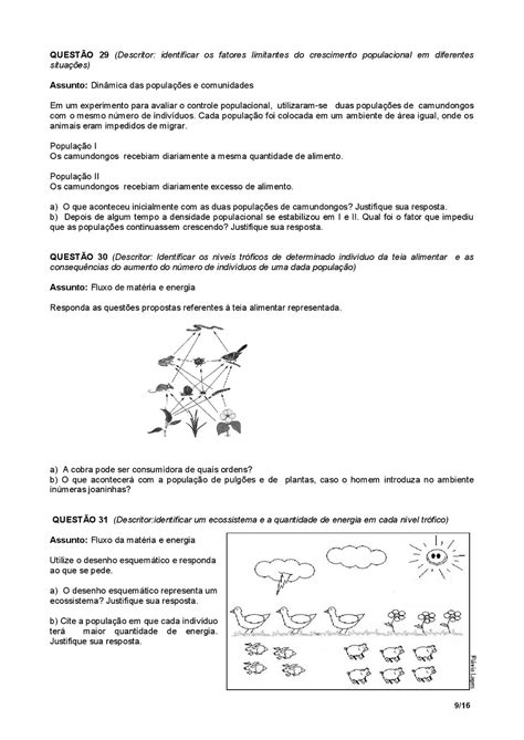 PROVA DE BIOLOGIA AVALIAÇÃO EXERCÍCIOS GABARITO PARA IMPRIMIR