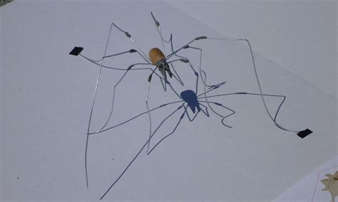 Marlin Peterson Artist Creates Giant D Paintings Of Spiders On The