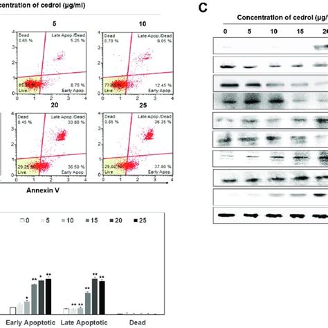 Cedrol Induces G Arrest Of The Cell Cycle In A Cells A After