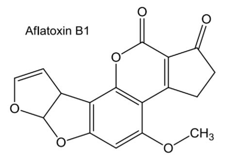 Food Safety Aflatoxin B1