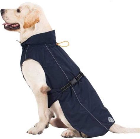 5 Best Waterproof Dog Coats With Chest And Belly Protection Top Picks