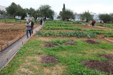 Rede Rural Nacional Regulamento Das Hortas Urbanas Em Tavira Assinado