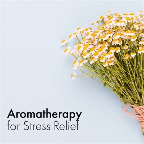 Aromatherapy For Stress Relief Album By Sensual Massage To