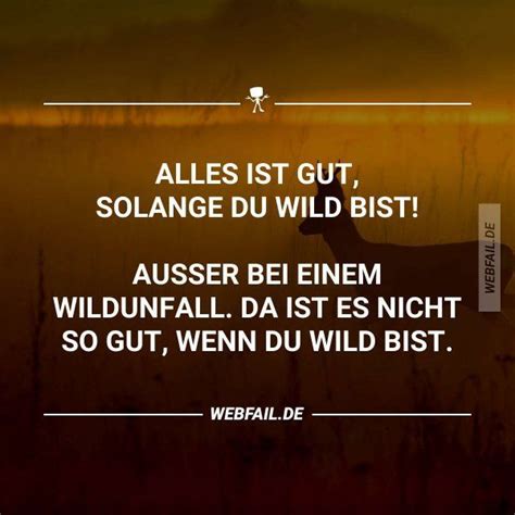 Klicke Um Das Bild Zu Sehen Alberne Witze Urkomische Zitate