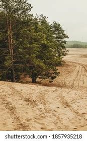 Bledow Desert Pustynia Bledowska Biggest Sand Stock Photo