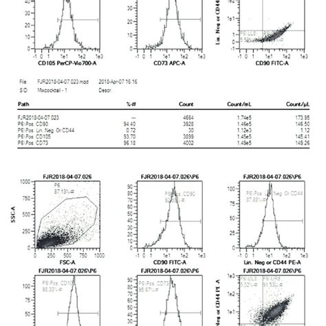 The Dot Blot Expression Marker Of SMMSCs Analyzed By Flow Cytometer