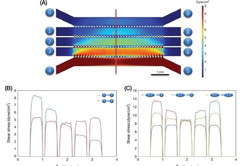 Fluid Dynamic Simulations Of Shear Stress For A Microfluidic Device