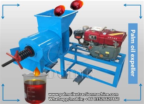 Vegetable Oil Extraction Machine Manufacturer Supplies Cooking Oil