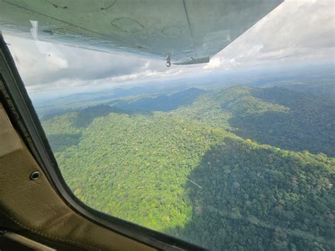 Navega O Em Colch O R Em Garrafa Como Tripulantes Sobreviveram