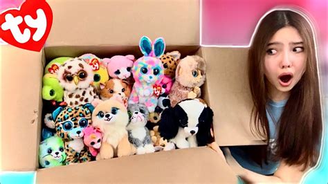 Ginormous Beanie Boo Haul Youtube