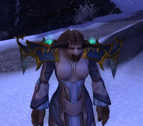 Pilots Pauldrons Item World Of Warcraft