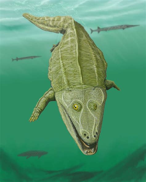 Pictures And Profiles Of Prehistoric Amphibians