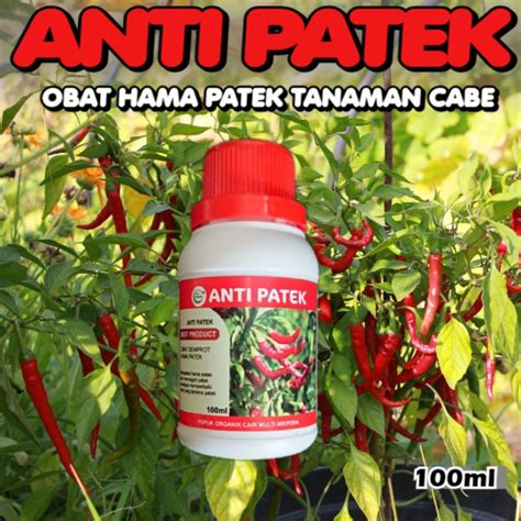 Jual Fungisida Hama Patek Obat Patek Obat Cabai Anti Patek Anti Virus