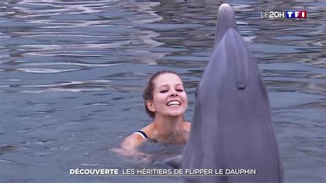 États Unis à la découverte des héritiers de Flipper le dauphin