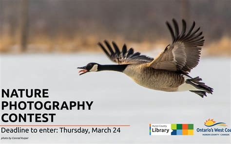 Nature Photography Contest | Huron County Library