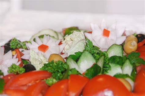 Salada Vegetal Tomate Suculento Rabanetes Alface Azeitonas