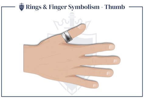 Antwort What Does It Mean If A Guy Wears A Ring On His Thumb Weitere