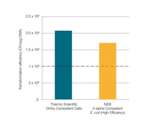 DH5α Competent Cells DH5α 感受态细胞