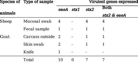 Summary Of Virulent Gene Expression Of E Coli O157h7 Isolates