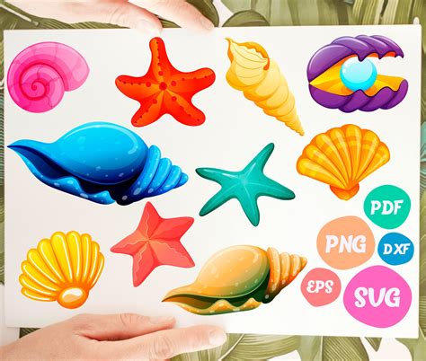 Seashell Svg Seashell Svg Seashell Silhouette Seashell Seashell Svg