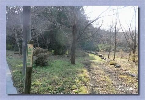 鎌倉街道 上道跡 －毛呂山町 1－（埼玉県毛呂山町） 四季・めぐりめぐりて