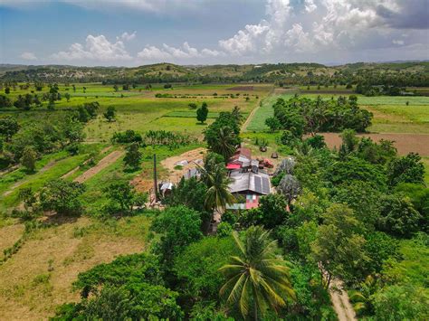 Clairin Vaval The Spirit Of Haïti