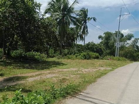 Hectare Land For Sale Clean Title Magallanes Cavite Lots January