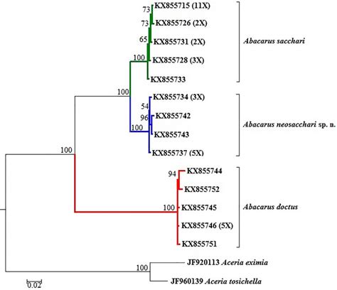 Bayesian Inference BI Tree Performed Using GTR G Model On Data From