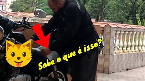 Como Espantar Gato Do Banco Da Moto Mais Rol Pela Cohab Ii