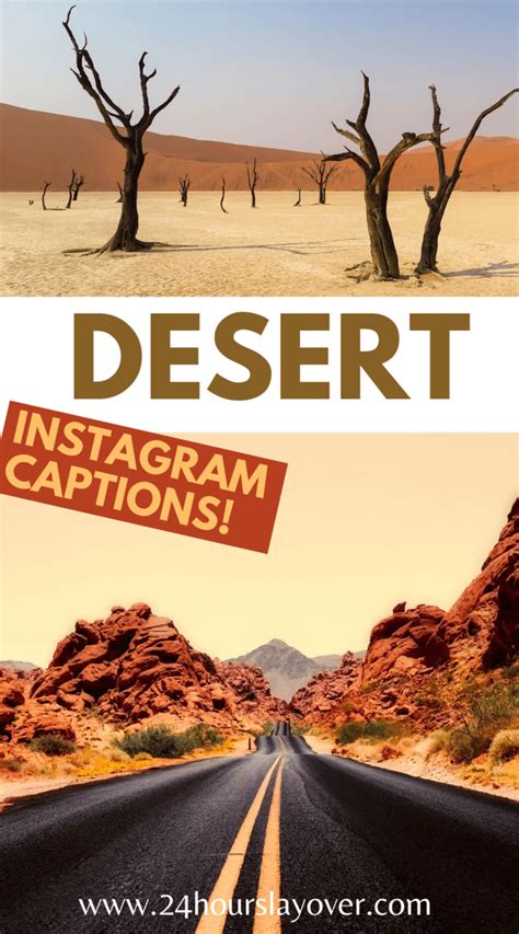 119 Desert Captions Desert Puns Desert Quotes For Instagram 24