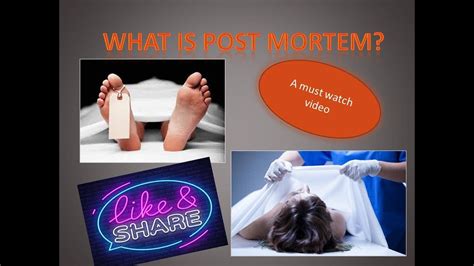 Post Mortem Or Autopsy Youtube