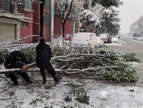 虎年上班第一天从“雪融融”开始！金银湖街迅速行动融雪除冰保畅通 荆楚网 湖北日报网