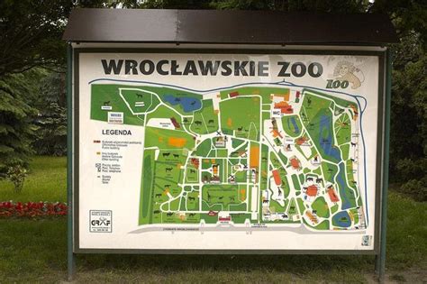 To Największy I Najstarszy Ogród Zoologiczny W Polsce Wszystko Co