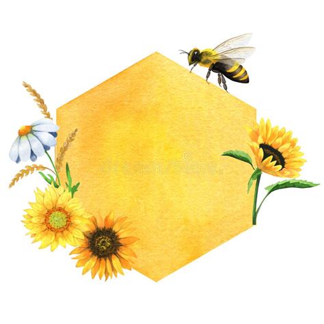 Watercolor Logo With Honeycomb Honey Bee And Sunflowers Watercolor