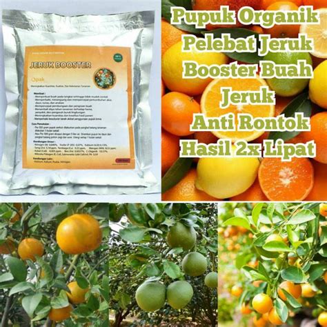 Jual Pupuk Organik Pelebat Buah Dan Booster Jeruk Cepat Berbuah Lebat