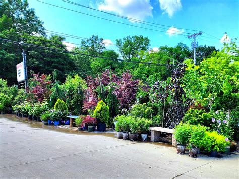 Top 5 Best Garden Centers In Cleveland Ohio Lakewood Exterminating