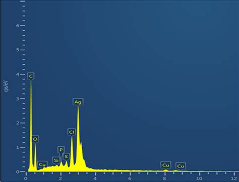 Sem Edx Spectrum Of Agnps Elemental Mapping Results Indicates The Download Scientific Diagram