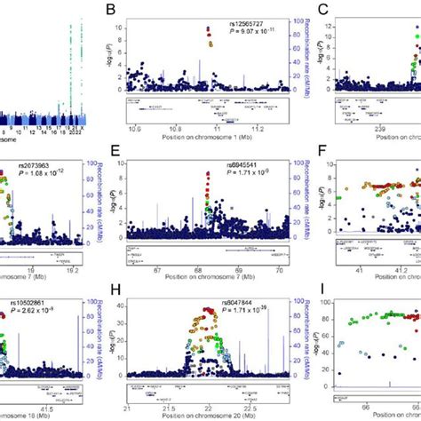 Genome Wide Meta Analysis Results For Aga In Maan A Manhattan Plot