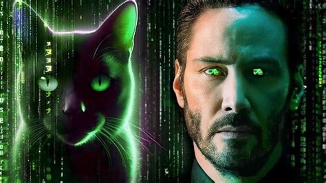 The Matrix Cat Is Not What You Think Matrix Explained Youtube