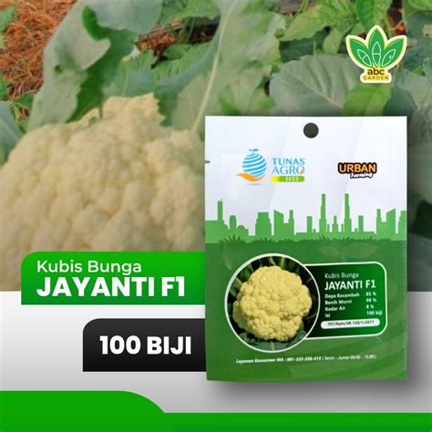 Jual Benih Kubis Bunga Jayanti F Tunas Agro Urban Farming Shopee