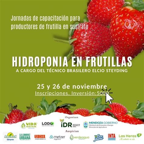 El IDR invita a participar en jornadas de capacitación sobre hidroponia