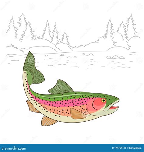 Fishing Emote Rainbow Trout Fish Realistic Drawing Vector Illustration