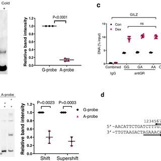 Rs Risk Allele Or Deletion Decreases Glucocorticoid Receptor