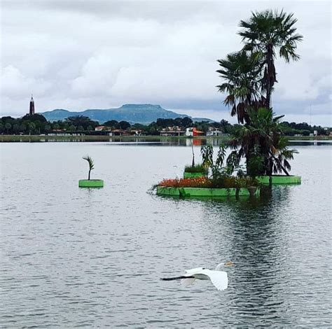 Sueli Reinaldo Adl Kullan C N N Paisagens Panosundaki Pin