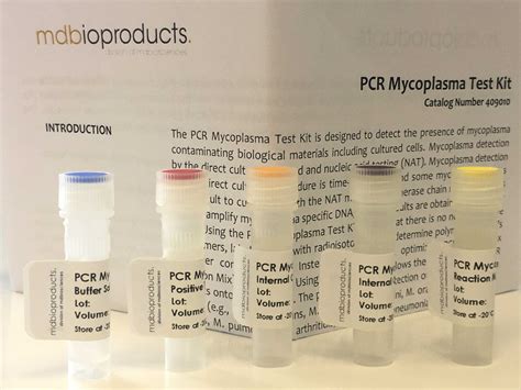 PCR Mycoplasma Detection, 20 assays – MD Bioproducts