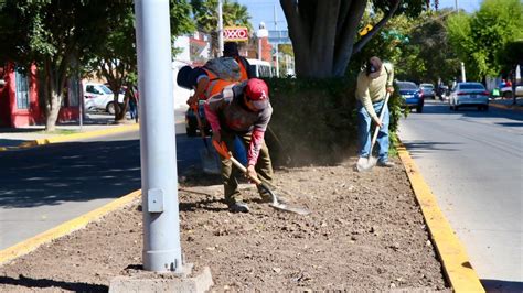 Renovación urbana en Irapuato Esculturas de Las Estaciones del Año