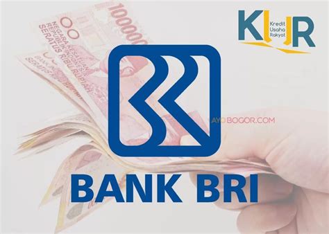 Padahal Tak Pernah Telat Bayar Debitur Ini Pengajuan KUR BRI Nya