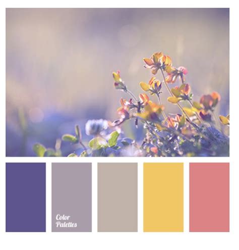 Color Scheme Lavender Color Palette Lavender Color Scheme Color